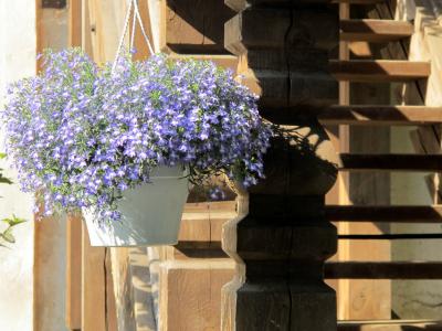 Прикрепленное изображение: IMG_6733.JPG